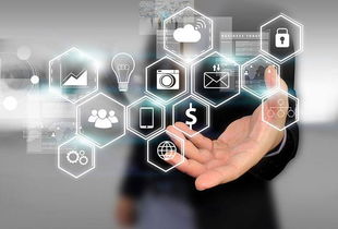 所志國軟文寫作案例 不靠廣告靠口碑，誠信服務成就電子商務新典范